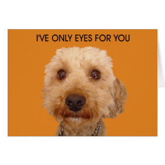 Solo tengo ojos para ti