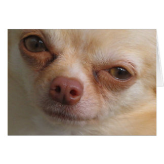 Solo Tengo Ojos Para Ti