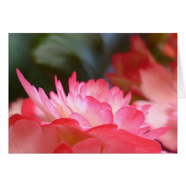 Sólo tres cosas (Anverso (Horizontal))