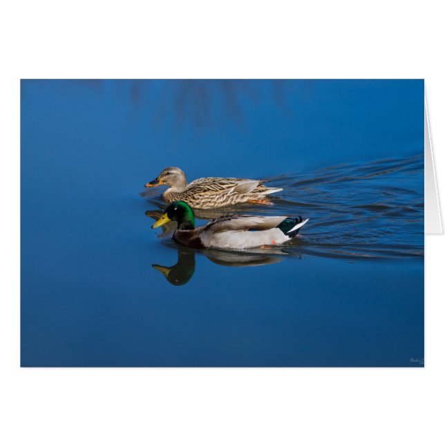 Solo Tú Y Yo (Anverso (Horizontal))