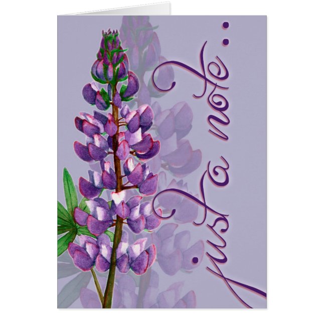 Sólo una nota (Frente)