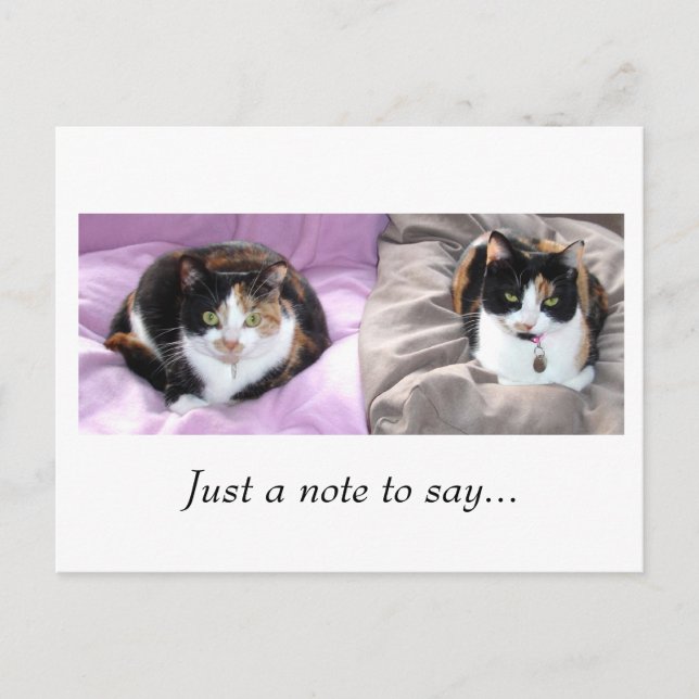 Sólo una nota para decir... (Anverso)