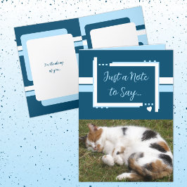 Sólo una nota para decir que fotos de gatos azul b