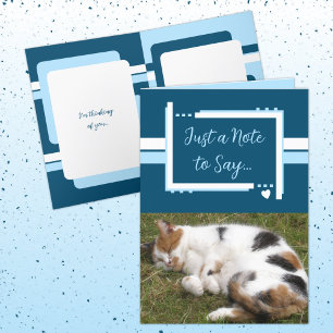 Sólo una nota para decir que fotos de gatos azul b