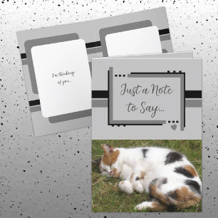 Sólo una nota para decir que fotos de gatos en gri