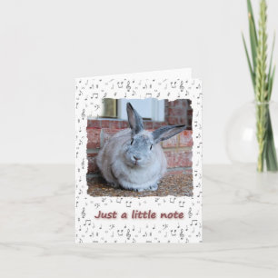 Solo una pequeña tarjeta de nota (en blanco dentro