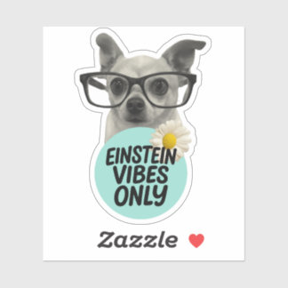Sólo Vibes Einstein - Pegatina inteligente y elega