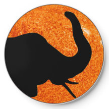 Sombra de eclipse solar de perfil de elefante