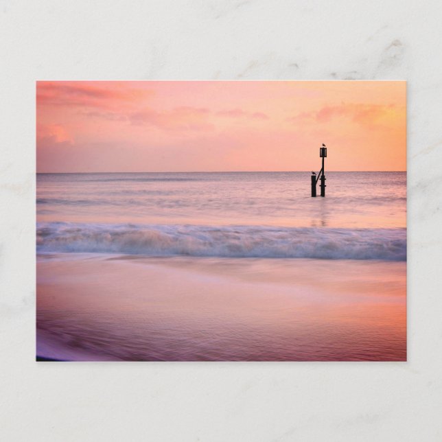 Sombra de sol escénica en la postal de la playa de (Anverso)