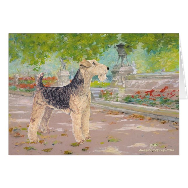 Sombra de tardes desplegada (Anverso (Horizontal))