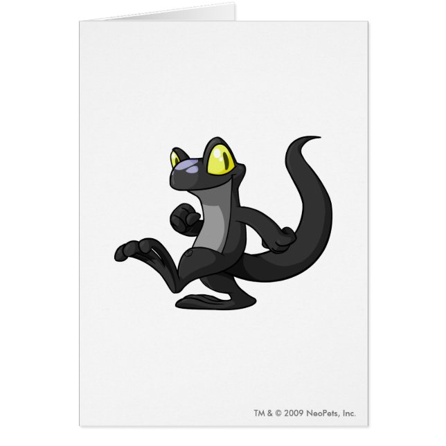 Sombra de Techo (Frente)