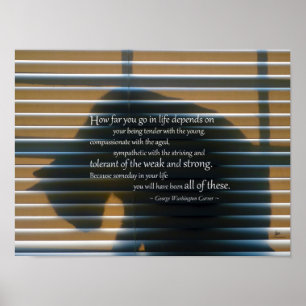 Sombra del gato con las impresiones del poster de