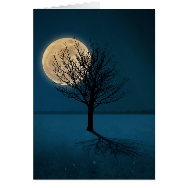 Sombra lunar (Frente)