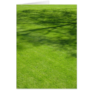 Sombras de Dublín