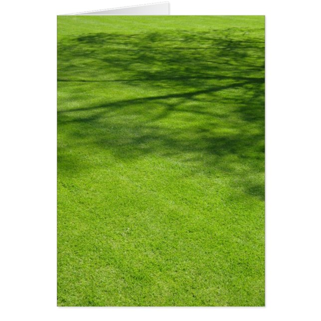 Sombras de Dublín (Frente)