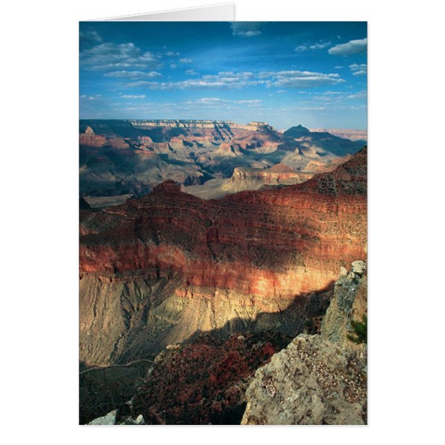 Sombras de la tarde (Frente)