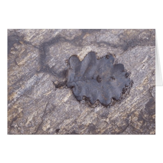 Sombras del otoño (Anverso (Horizontal))
