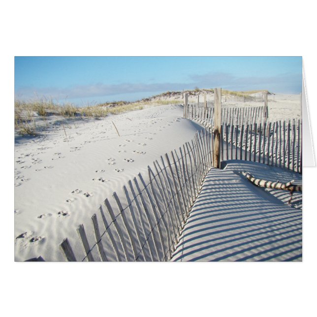 Sombras, dunas de arena, y cercas (Anverso (Horizontal))
