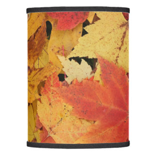 Sombreado de la lámpara Personalizado (sólo)