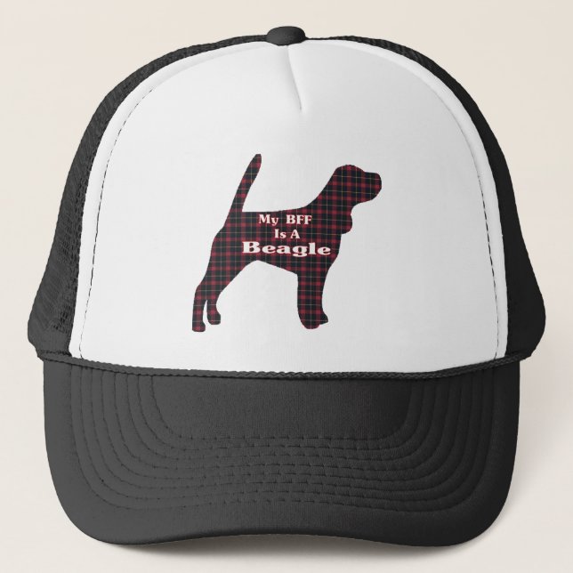 Sombrero BFF Beagle (Anverso)