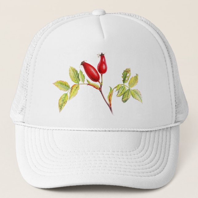 Sombrero de arte de escaramujo (Anverso)