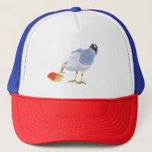 sombrero de béisbol de gaviota