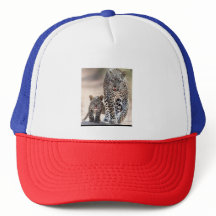 Sombrero de camión
