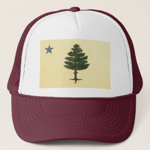 Sombrero de camionero con bandera de árbol de pino