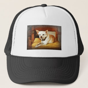 Sombrero de camionero pequeño pero poderoso