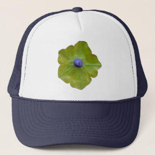 Sombrero de camionero verde y azul Petunia
