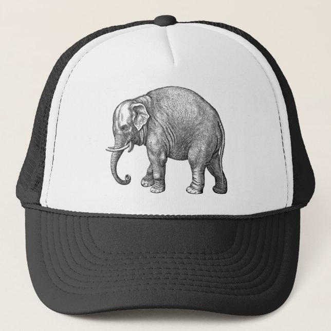 Sombrero elefante de béisbol (Anverso)