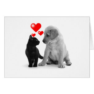 SOME SEE STARS-I SEE HEARTS BECAUSE OF "YOU"