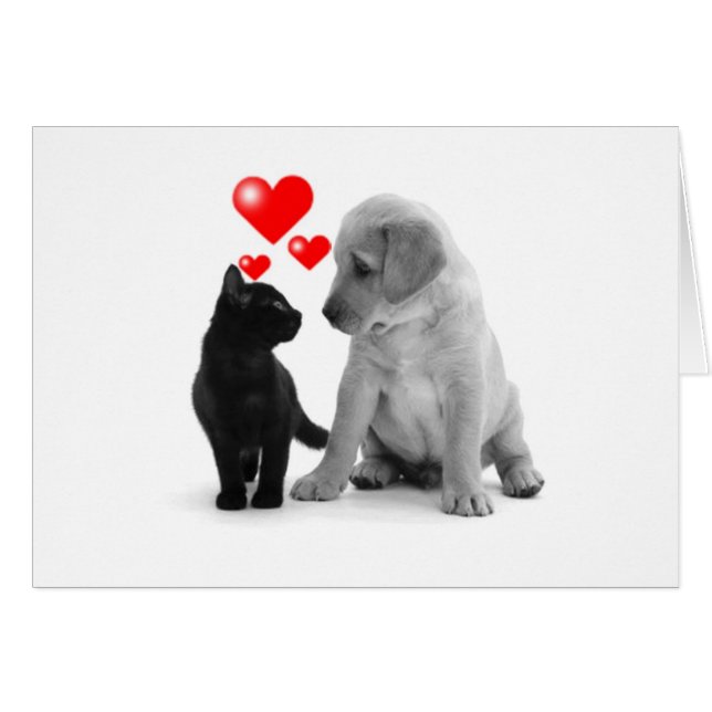 SOME SEE STARS-I SEE HEARTS BECAUSE OF "YOU" (Anverso (Horizontal))