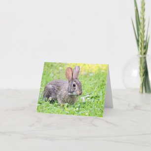 Somebunny a la tarjeta de notas de amor