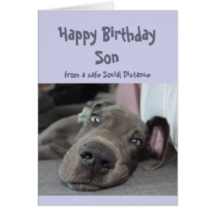 Son cumpleaños social distanciado gran perro danés