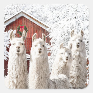 "¡Son Navidades!" Pegatinas