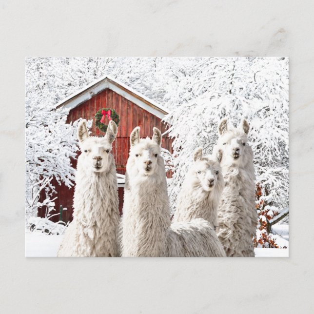 "¡Son Navidades!" Postal (Anverso)