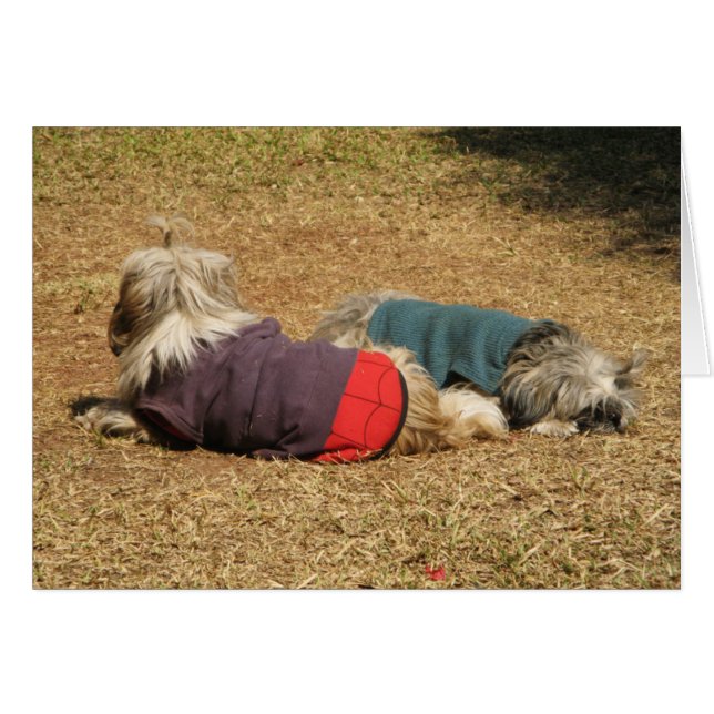 Sonambulismo en Nong Khai (Anverso (Horizontal))