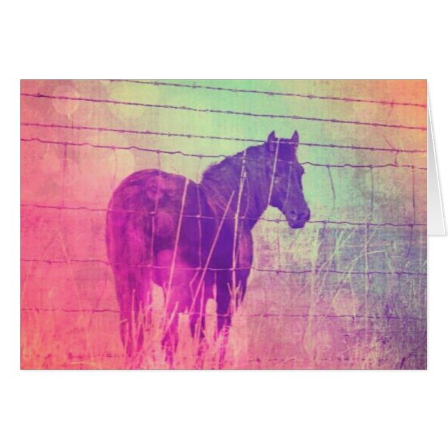 Soñando con caballos (Anverso (Horizontal))