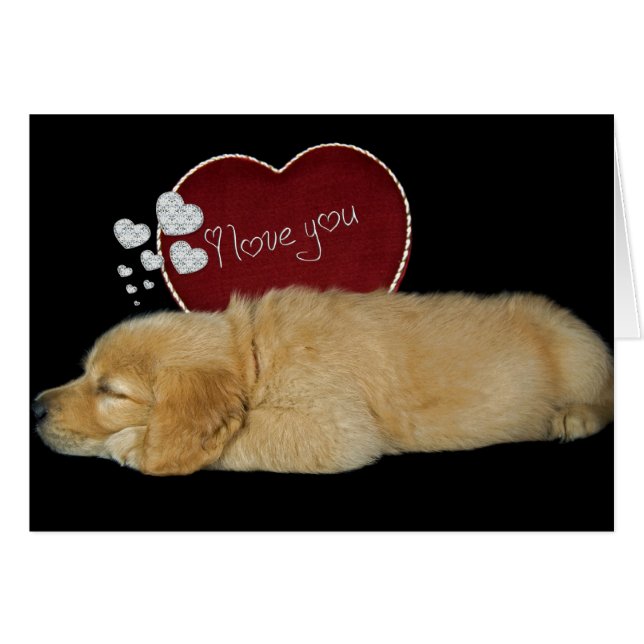 Soñando con el amor (Anverso (Horizontal))