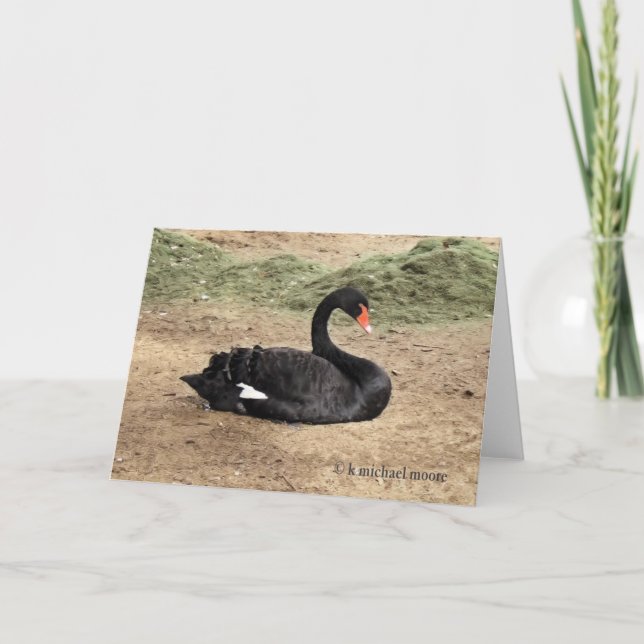 Soñando la tarjeta de felicitación del mar - (Anverso)