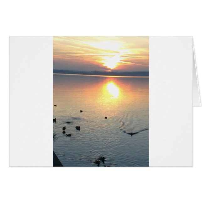 Sonnenuntergang am See mit Enten (Anverso (Horizontal))