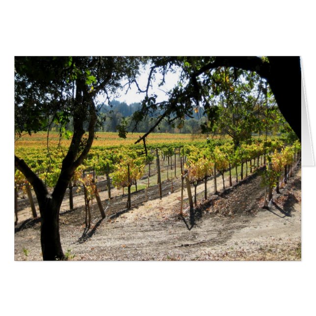 Sonoma Vineyard (Anverso (Horizontal))