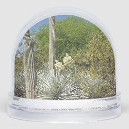 Sonoran Desert Snow Globe