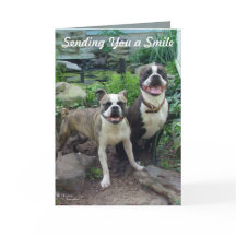 Sonreír pensando en usted Miss su tarjeta