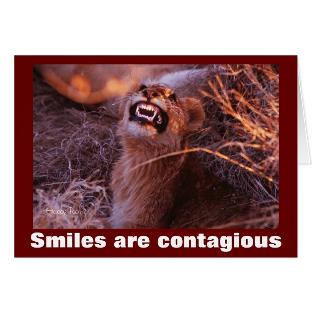 Sonreír sonriente sonriente en el club de los leon (Anverso (Horizontal))