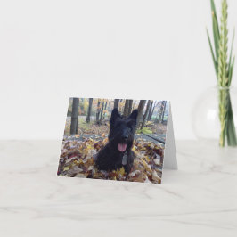 Sonríe es la tarjeta de otoño