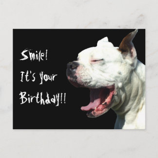 Sonríe, es tu postal de cumpleaños White Boxer