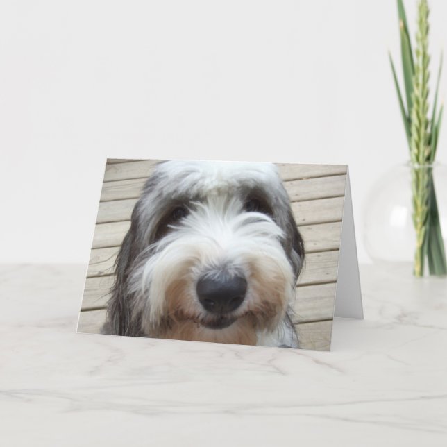 Sonríe la vieja tarjeta de perro pastor inglesa (Anverso)