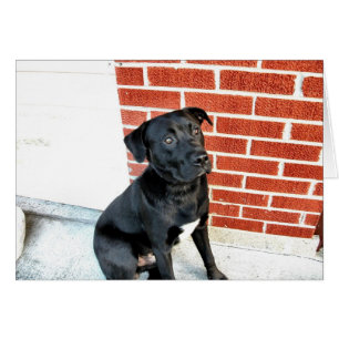 ¡Sonríe Para Nosotros A Medianoche!